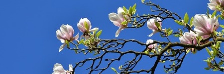 30 maart - 20 mei 2020: Tijd voor een nieuw begin